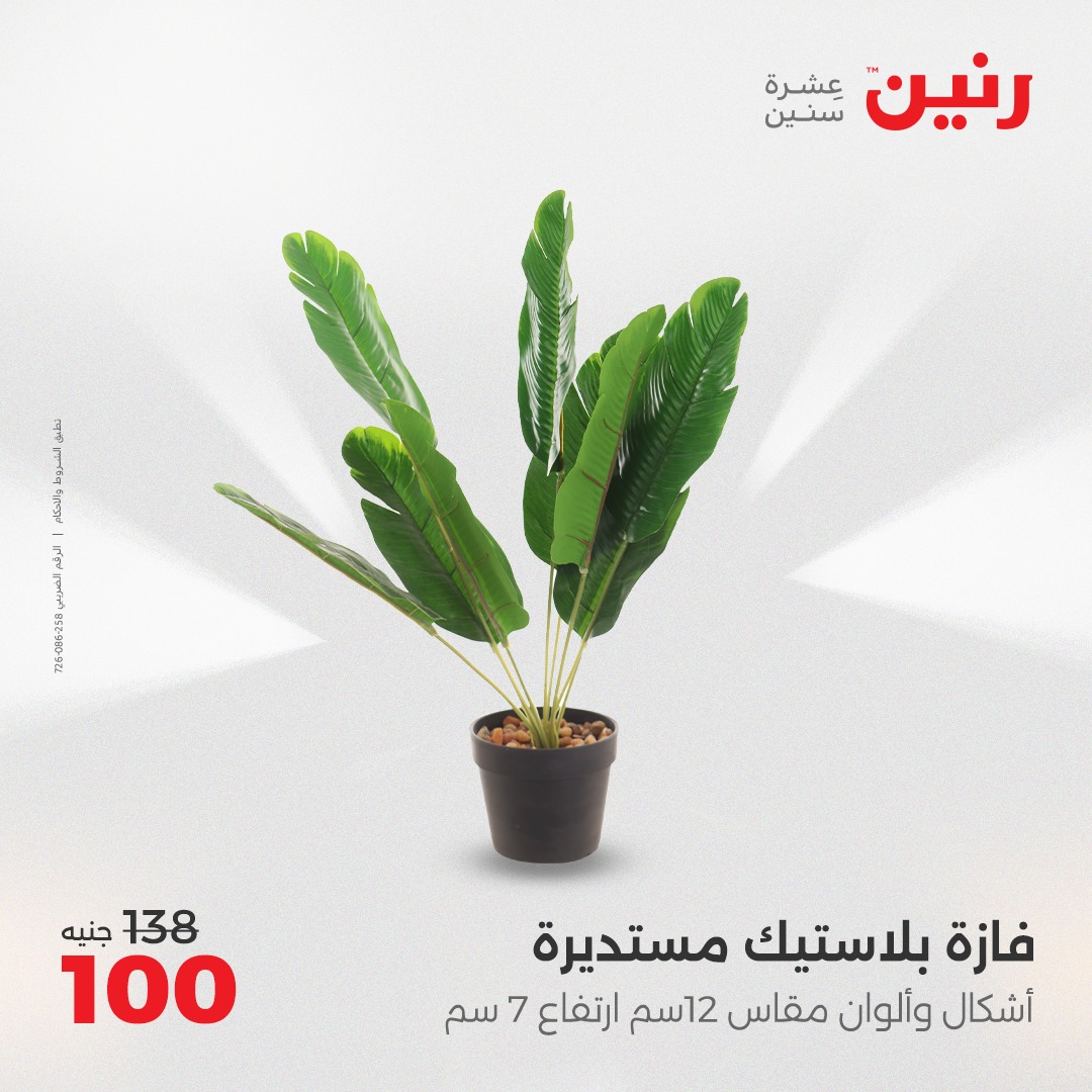 raneen offers from 13apr to 14apr 2025 عروض رنين من 13 إبريل حتى 14 إبريل 2025 صفحة رقم 153